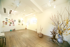 ���k�� �݂��M�������[�ʐ^