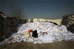 �݂��M�������[�ʐ^